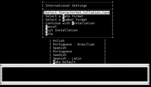 OpenEdge installation International Settings