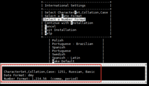 OpenEdge Installation International Settings
